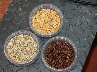 Unroasted, lightly roasted and roasted Coffee beans, photo by Falco